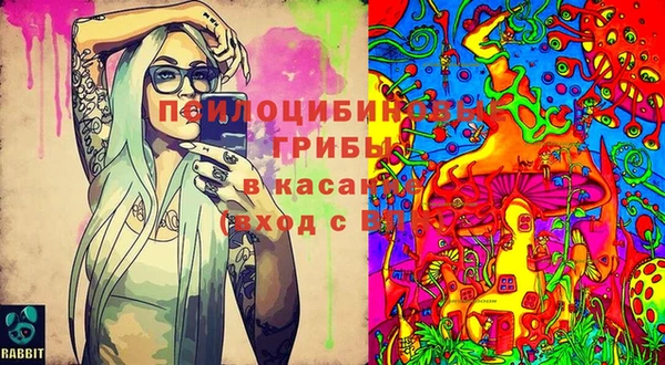 МДПВ Арсеньев