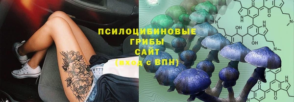 МДПВ Арсеньев