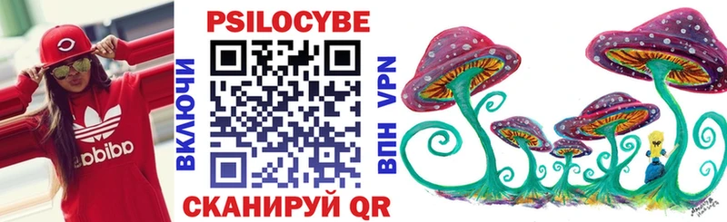 Псилоцибиновые грибы Psilocybine cubensis  наркотики  Ухта 